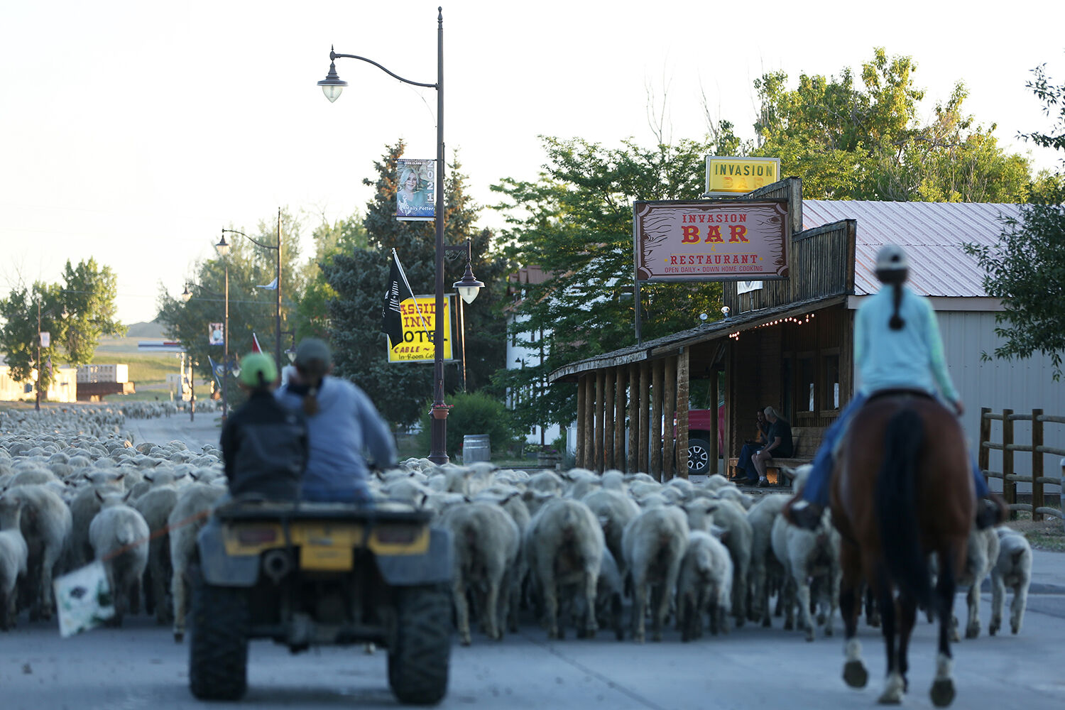 Moving sheep through town